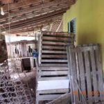 Homem é detido durante operação suspeito de manter rinha de galo em casa em MT