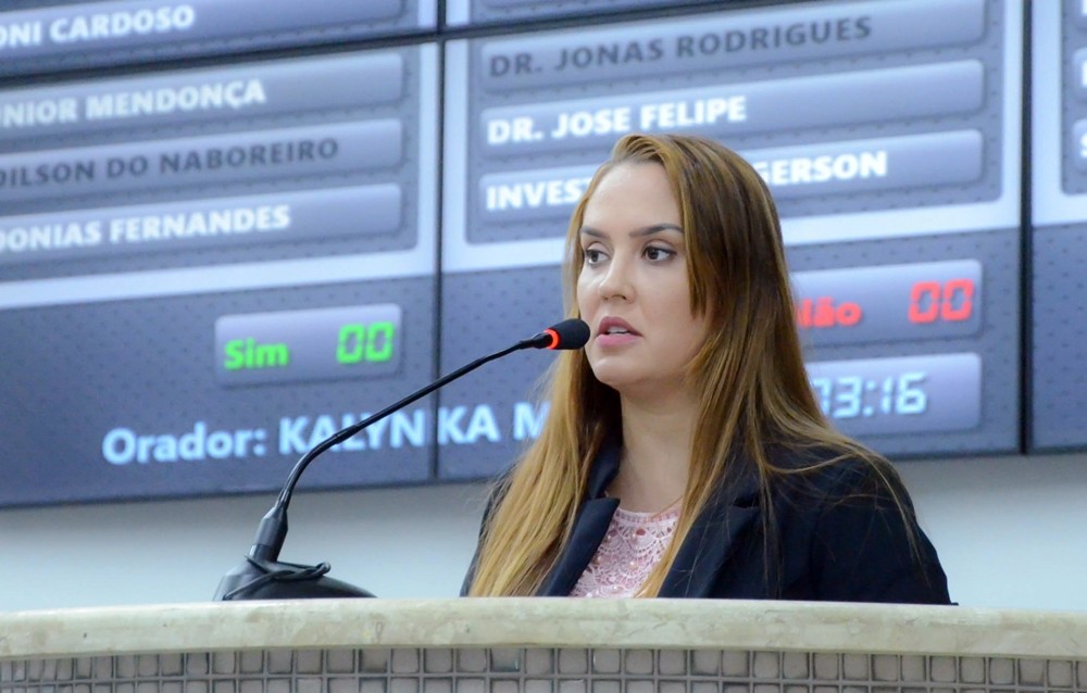Câmara realiza audiência pública sobre saúde mental materna no dia 5 de maio