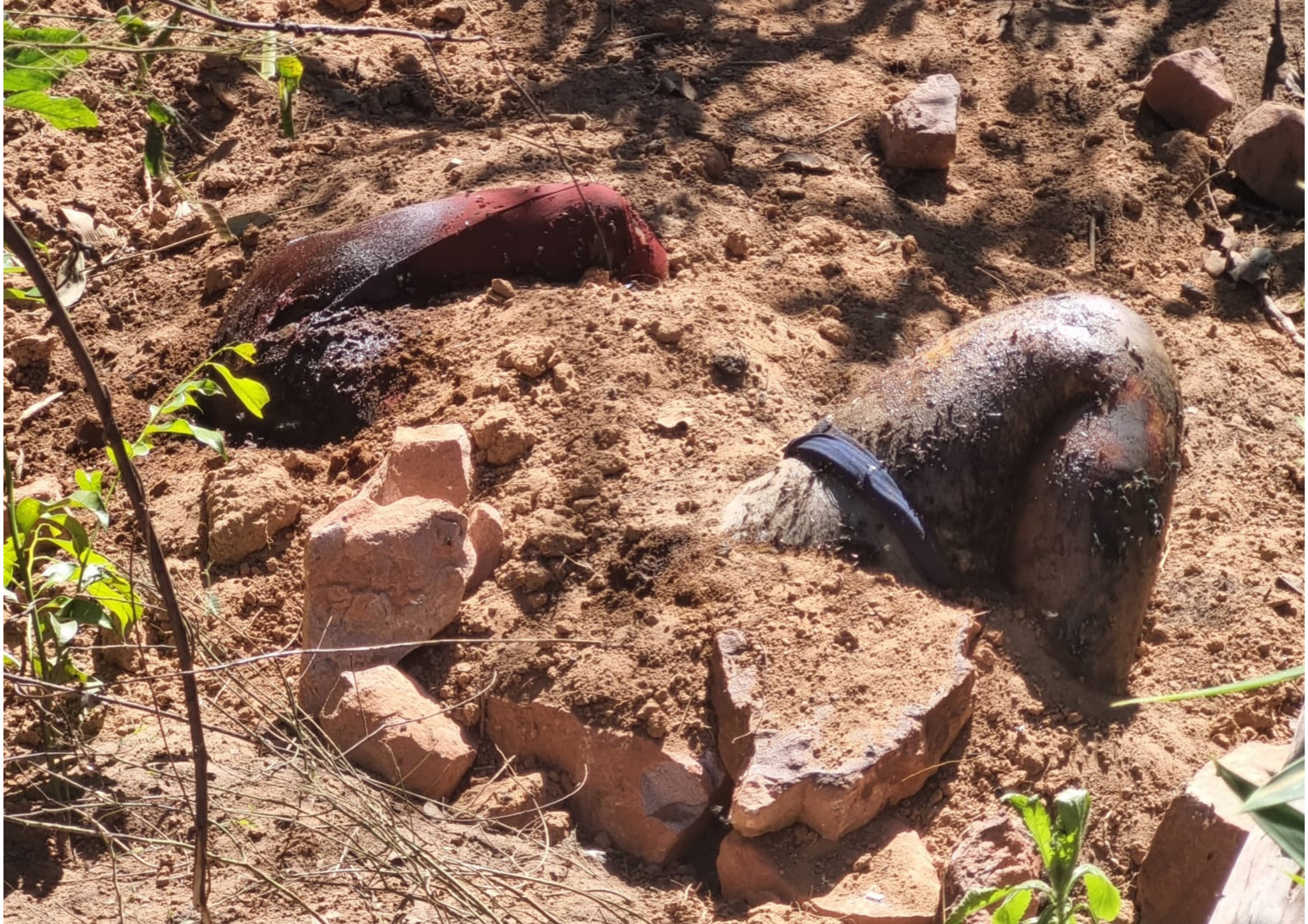 Corpo é achado semienterrado na região da Gleba Rio Vermelho em Rondonópolis